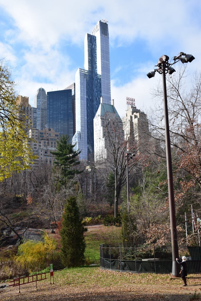 New York City skyscrapers rise above the foliage in Central Park on a sunny day.