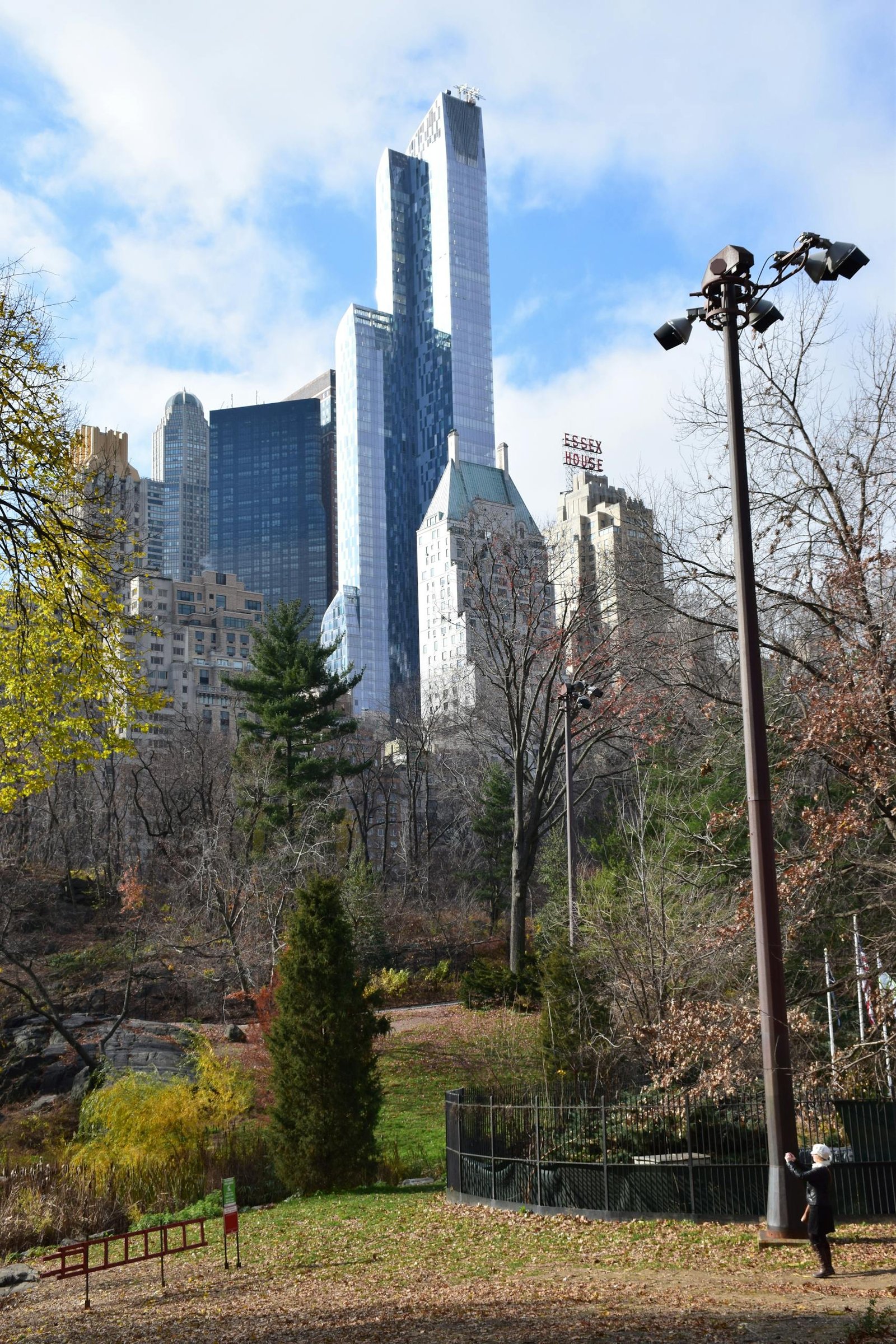 New York City skyscrapers rise above the foliage in Central Park on a sunny day.